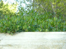P1070895