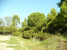 P1070896