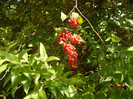 P1070897
