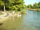 P1070900