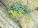 P1070917