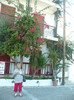 P1070959