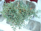 P1070961