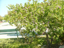 P1070963