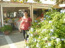 P1070971