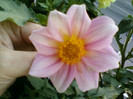 4 oct 2012-flori 015