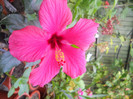 DSCN3484