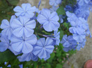 DSCN3485