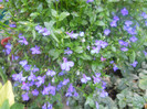 DSCN3486
