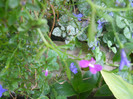 DSCN3487