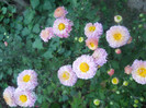 DSCN3488