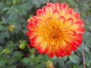 DSCN3491