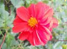 DSCN3492