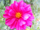 DSCN3493