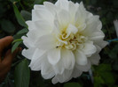 DSCN3495