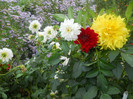 DSCN3497