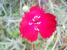 DSCN3534