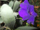 DSCN3538