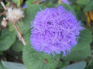DSCN3540