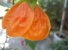 DSCN3547