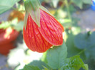 DSCN3548
