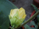DSCN3332