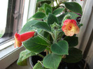 Picture 019