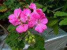 DSCN8470
