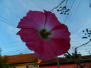 DSCN8472