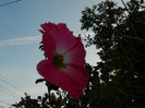 DSCN8473