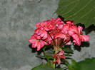 DSCN8478