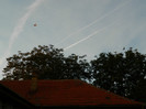 DSCN8484