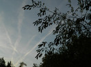 DSCN8497