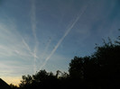 DSCN8499