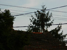 DSCN8528