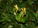DSCN8534