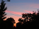 DSCN8541