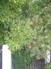 P1080005