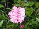 P1080006