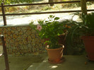 P1080027