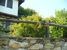 P1080099