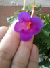 6 oct 2012-flori 009