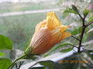 DSCN2051