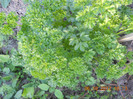 DSCN2062