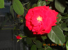 DSCN2073