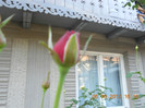 DSCN2074