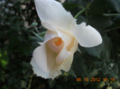 DSCN2079