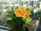 P1280085
