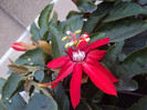 DSC00897