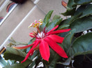 DSC00898